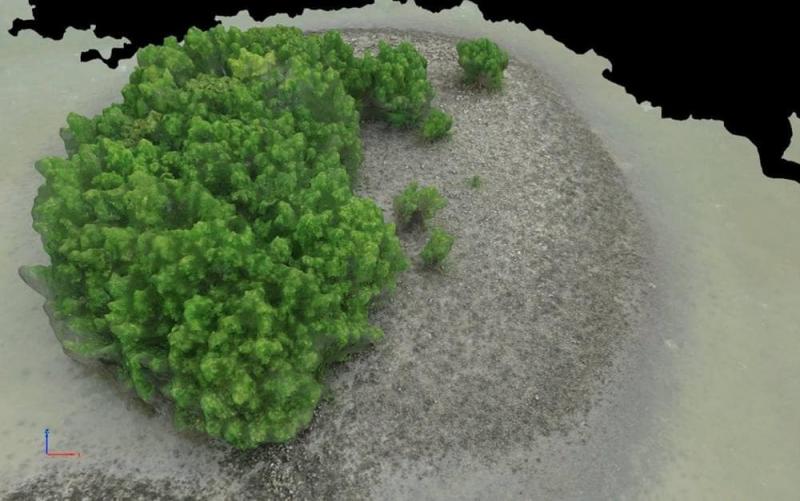 UAS Cameras Shot Visuals of Reef