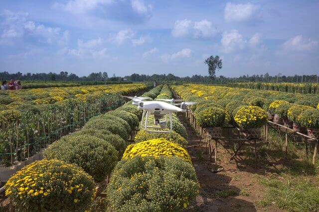 Drone Monitoring in Gardening: How’s My Garden Now?